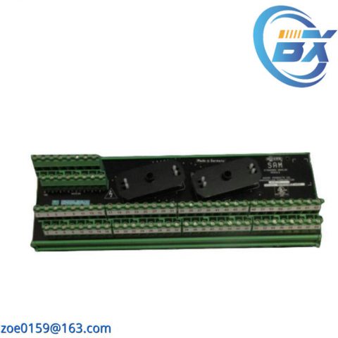 Moore 16169-1-07 SAM Standard Analog Module: Precision Control at Your Fingertips