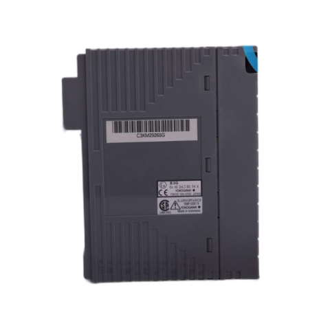 ABB FAU810 Dual Channel Complete Assembly: PLC Module for Industrial Control Systems