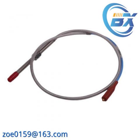 BENTLY 1900/65A-01-01-01-00-00: High Precision Control Module