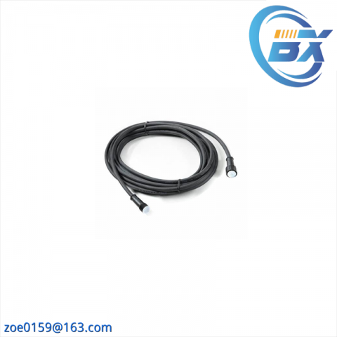 Bently Nevada 136634-0010-01: Display Extension Cable, 10ft, Weighted Assembly