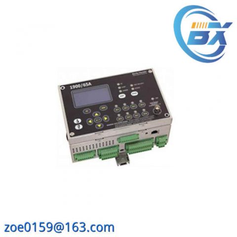 Bently Nevada 1900/65A-00-00-01-00-00, Advanced General Purpose Equipment Monitor