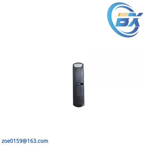 ICS Triplex T9902 AAdvance 20 Replacement Fuse, 10A, Advanced Industrial Control Module