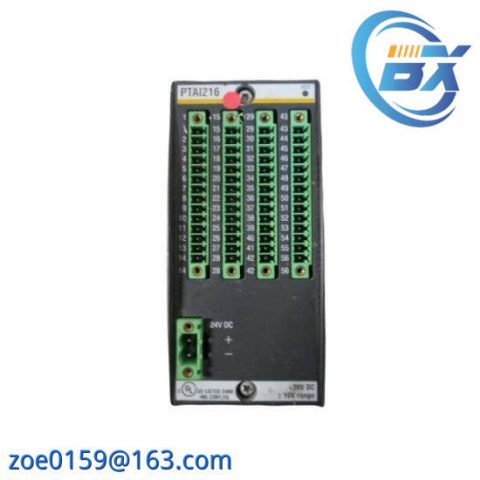 BACHMANN PAAI216 Analog Modules