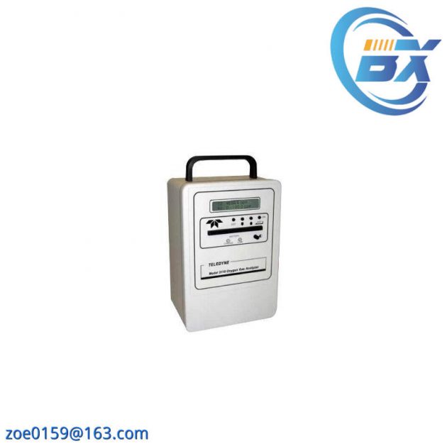 Teledyne 3110 Portable Oxygen Analyzers, Advanced Portable Technology for Precise Measurement