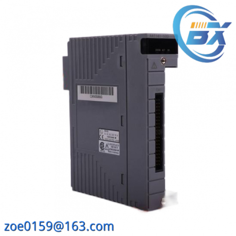 Yokogawa AAI543-S00 S1 FCS System - Advanced Fieldbus Control Solution
