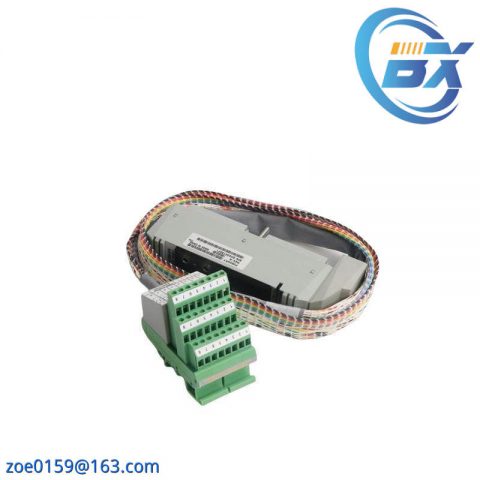 FOXBORO P0916AW System Module for Industrial Control