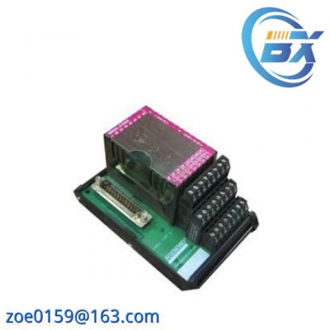 Foxboro P0916AE - I/A Series Control Module