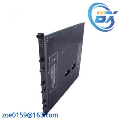 Triconex RXM4200 Input/Output Cards, Advanced Control Solutions