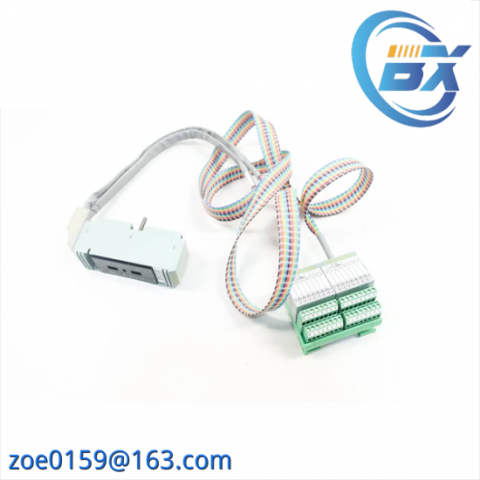 FOXBORO FBM207C P0917GYM - Industrial Control Module