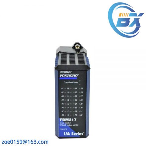 Foxboro P0972KA High-Accuracy Module