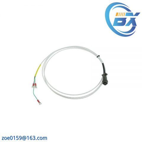 BENTLY 3500/61-01-00 Temperature Monitor (163179-02 & 133819-02)
